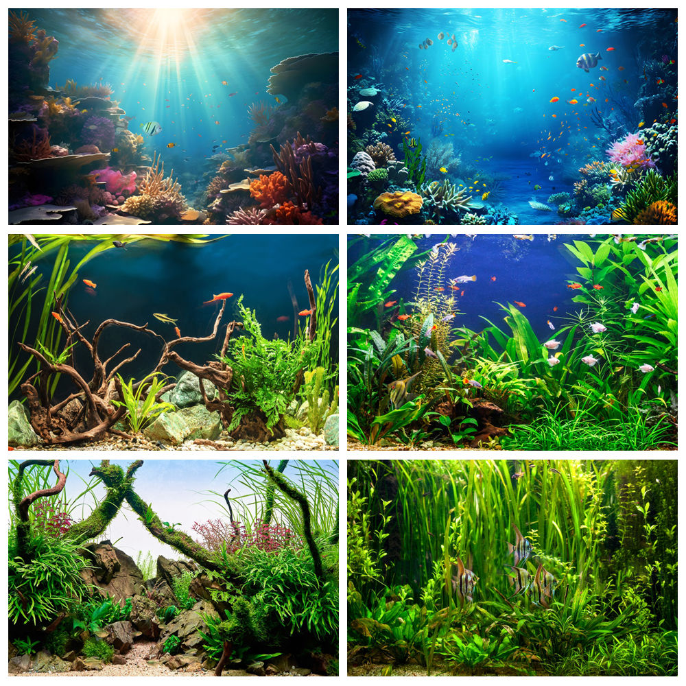 Aquarium Marine World - Under Sea Seabed World Photography Backdrop