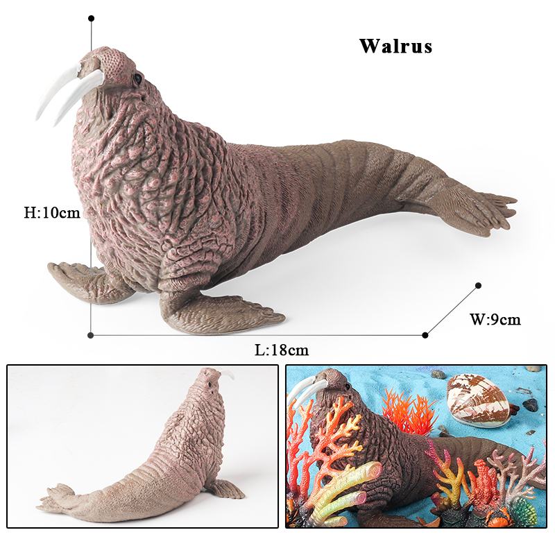 Oenux New Sea Life Seal Sea Li - огляд і ціна Aquarium Blue Marine