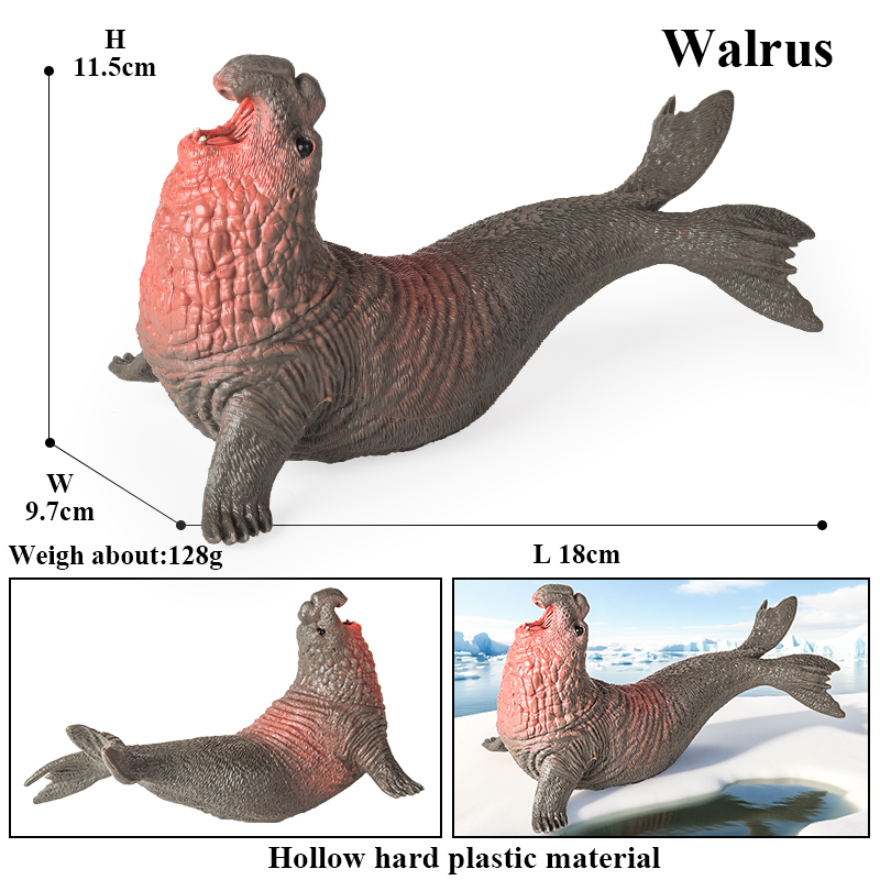 Oenux New Sea Life Seal Sea Li - огляд і ціна Aquarium Blue Marine