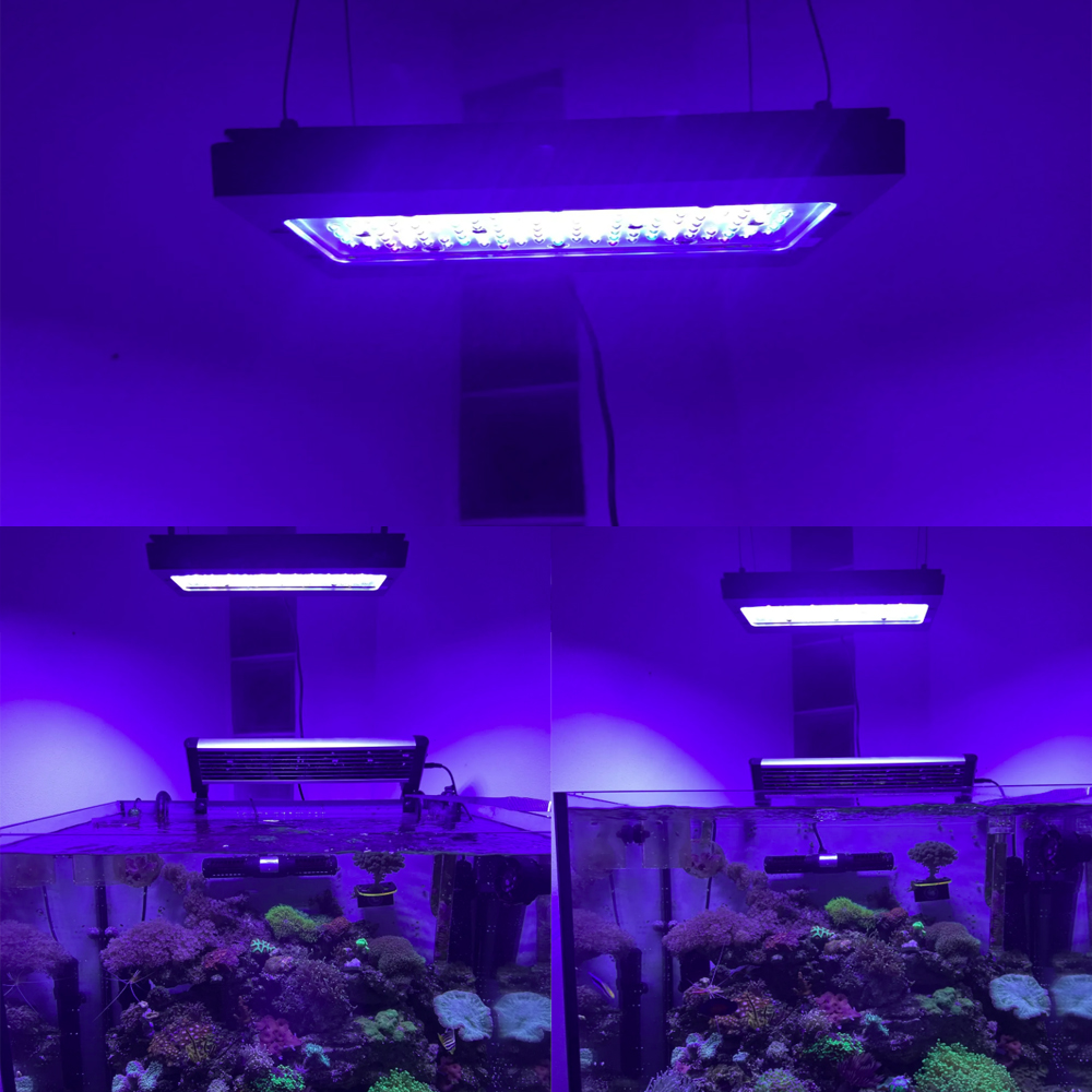 A8se Pro III MAX Blue 240W Mar - огляд і ціна Aquarium Blue Marine Reef