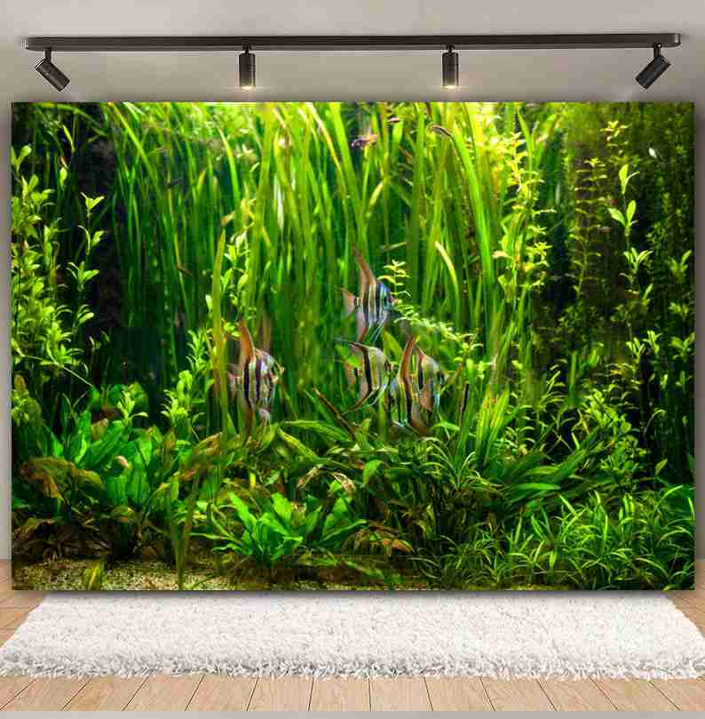 Under Sea Seabed World Photogr - огляд і ціна Aquarium Marine World