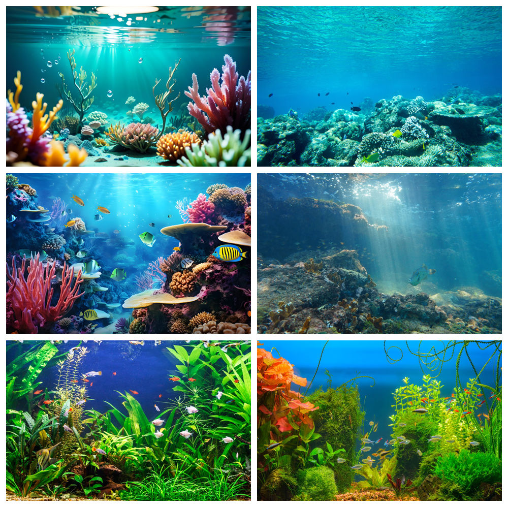 Underwater World Seabed Photog - огляд і ціна Aquarium Marine World