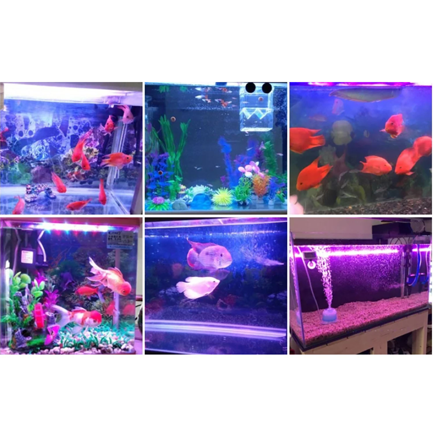 50W 60W 70W 100W RGB 26-28V Hi - огляд і ціна Aquarium Blue Marine